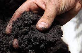 Оценка влажности почвы