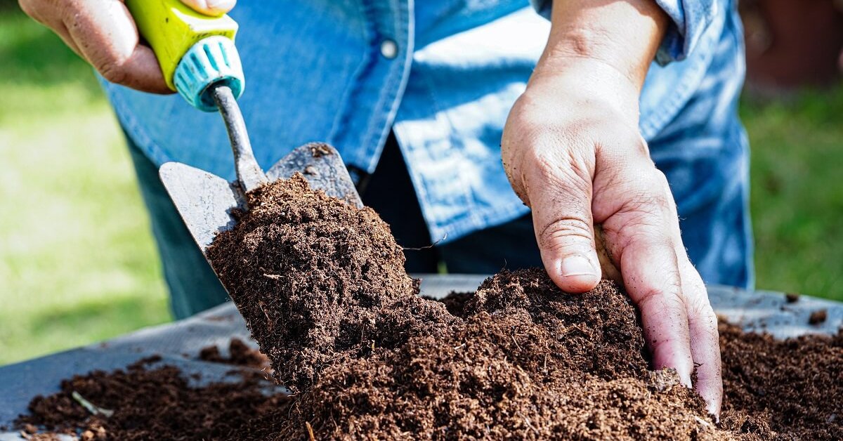 Как улучшить почву