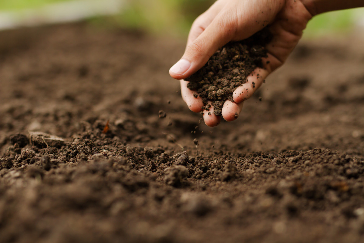 Как восстановить почву
